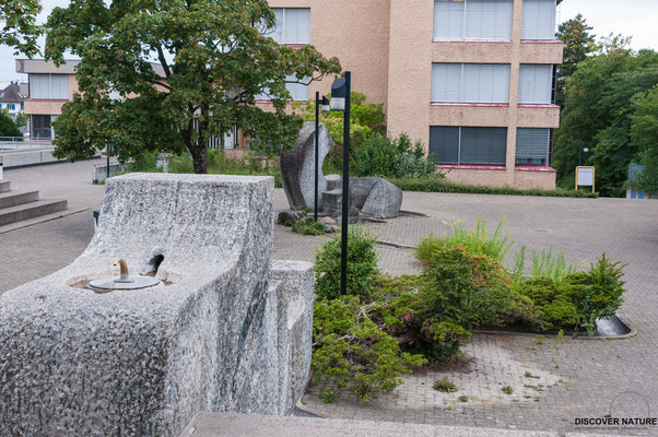 Brunnen Schulhaus Stägenbuck