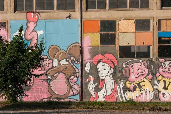 Graffiti Koch Areal (Zürich)