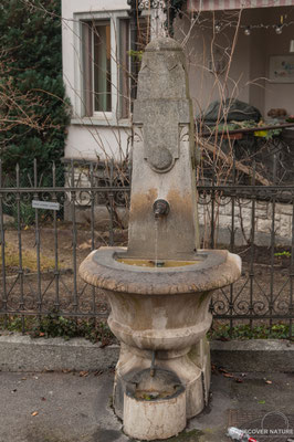 Brunnen Nr. 265 Sonegg-/Sumatrastrasse