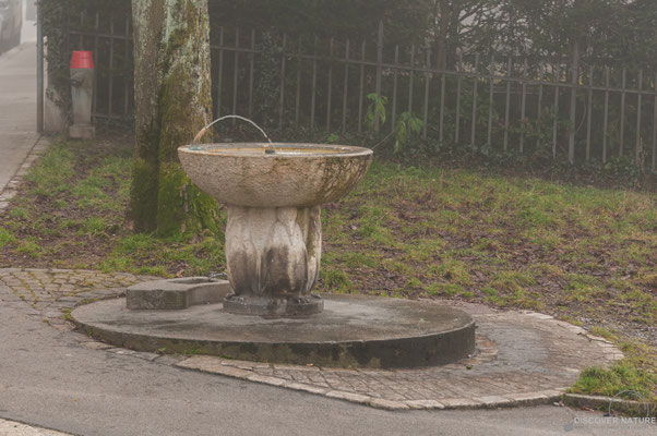 Brunnen Nr. 295 Rigi-/Hadlaubstrasse