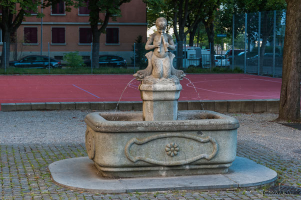 Brunnenanlage Nr. 568.2 Sihlfeldstrasse