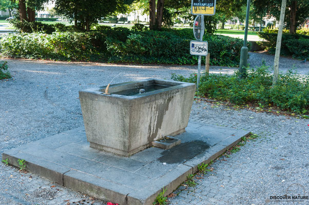 Brunnenanlage Nr. 213 Feld-/Hohlstrasse