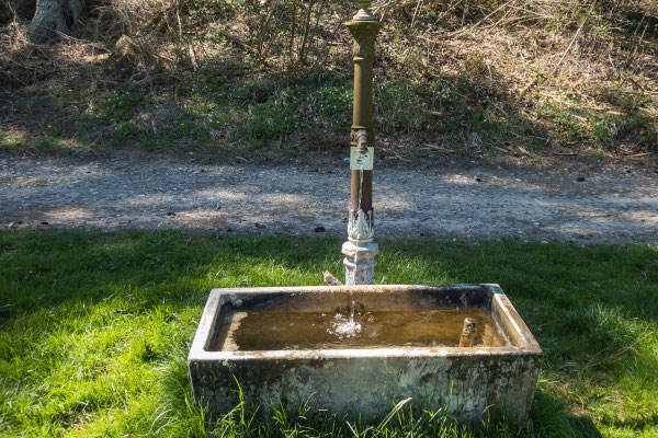 Brunnen beim Auenbächli - Tösstal
