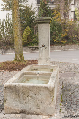 Brunnen Nr. 1078 Frohburg-/Schäppistrasse