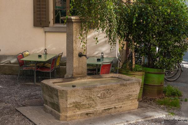 Brunnenanlage Nr. 212 Badener-/Kalkbreitestrasse