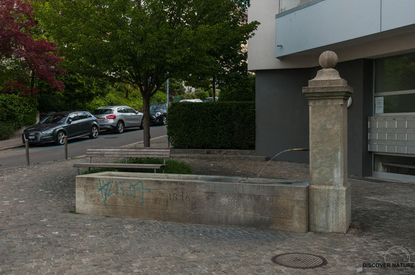 Brunnen Nr. 435 Dorf-/Waidstrasse