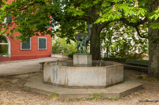 Brunnen Nr. 290 Winterthur-/Langmauerstrasse