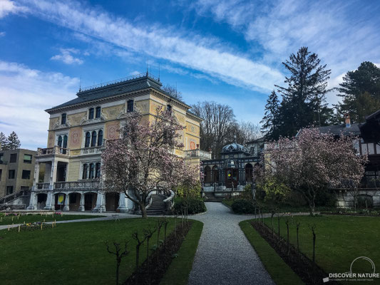 Villa Patumbah Zürich