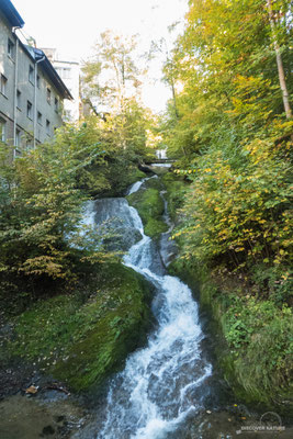 St. Gallen - Kanton St. Gallen