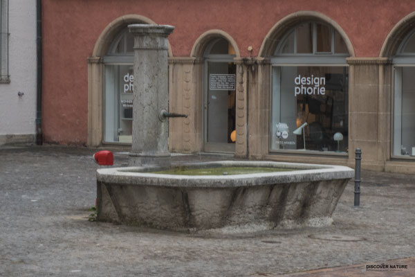Brunnen Freiestrasse - Frauenfeld