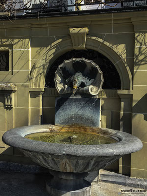 Brunnen Münsterplattform - Bern