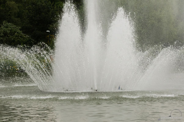 Brunnen in Grün80 - Münchenstein