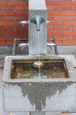 Brunnen Nr. 619 Dufourstrasse