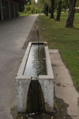 Brunnen Murg-Auen Park - Frauenfeld
