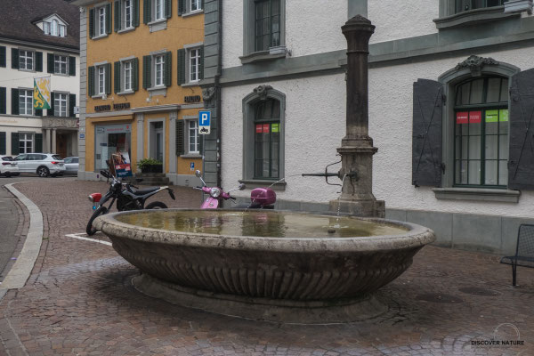 Brunnen Zürcherstrasse - Frauenfeld
