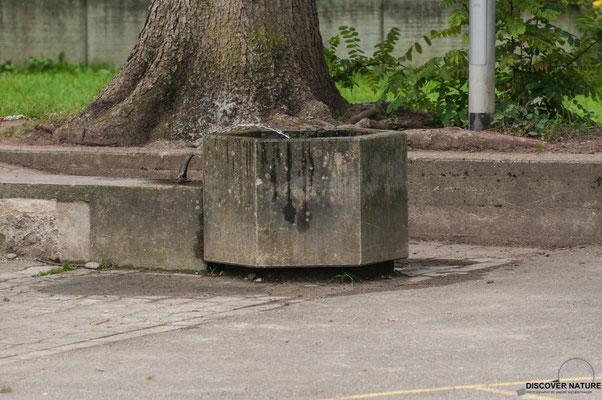 Brunnen Hort Högler