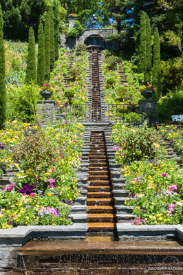 Italienische Blumen-Wassertreppe - Insel Mainau
