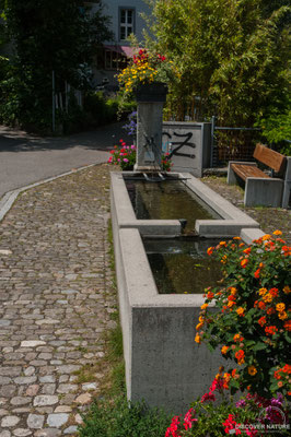 Dorfbrunnen Stettbach