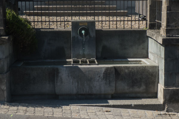 Brunnen Bahnhofstrasse - Heiden