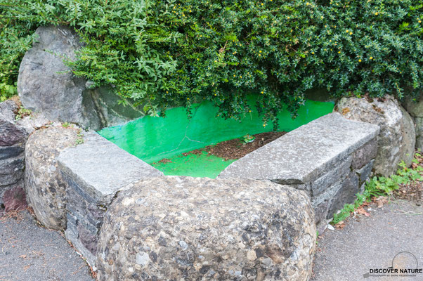 Brunnen Schulhaus Sonnenberg