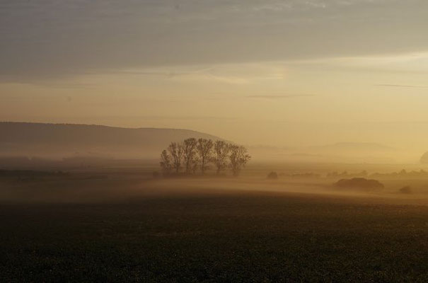 Morgenstimmung mit Nebel, Dutzenthal 170922
