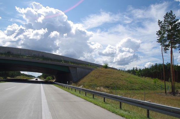 Wildbrücken, auf denen alle möglichen Tiere gefährliche Straßen, z.B. Autobahnen, überqueren können, sind ideal, aber sehr teuer! 