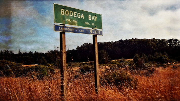 In Bodega Bay selbst wurde nur eine Szene des Films gedreht.