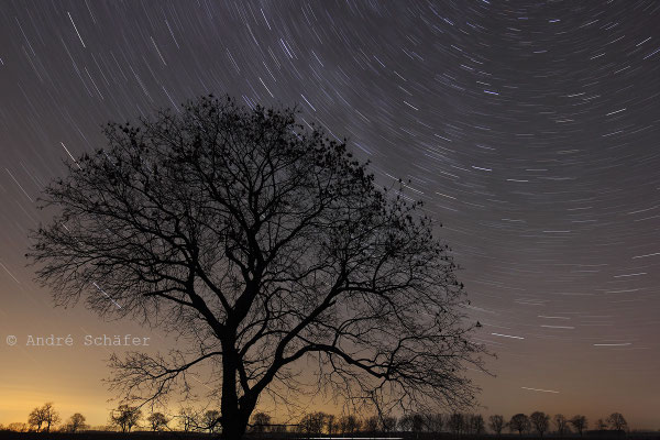 Strichspur um Polaris