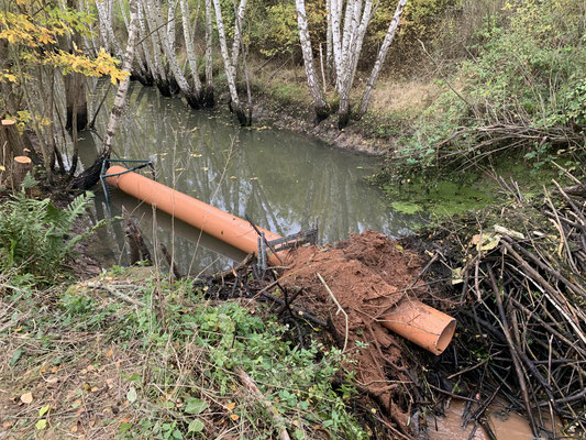 Bild: B.Sauer Dammdrainage Suhlbach