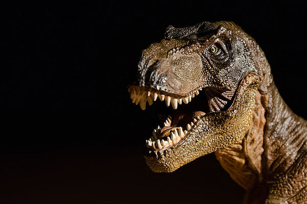 Tabletop: T-Rex-Porträt