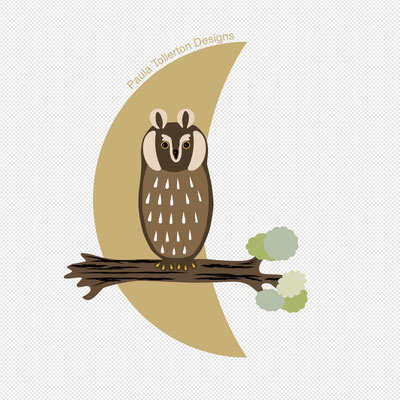 The Owl
