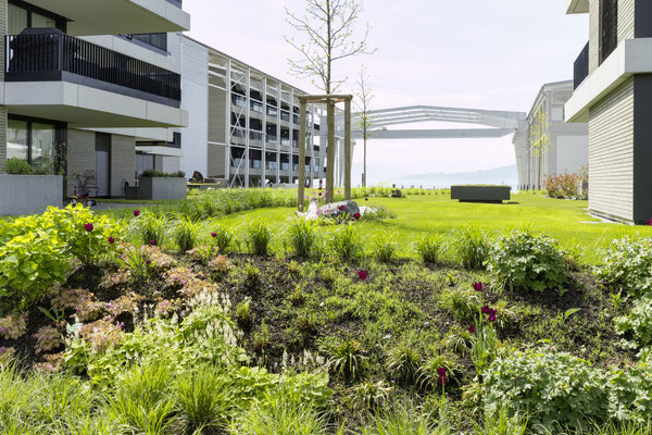 Bodan - Areal Kressbronn - PAUL SAUM – Garten- und Landschaftsbau