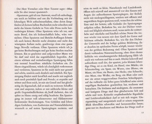 Aus: "Der Spaziergang" von Robert Walser. Foto: Richard Frankenberger