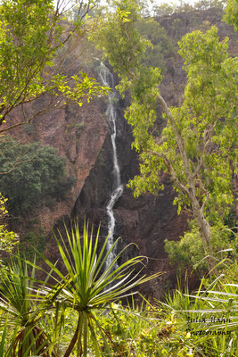 Wangi Falls, Litchfield NP