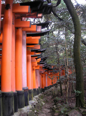 Fushimi Inari - Kyoto  2009©A-M Uyttenbroeck