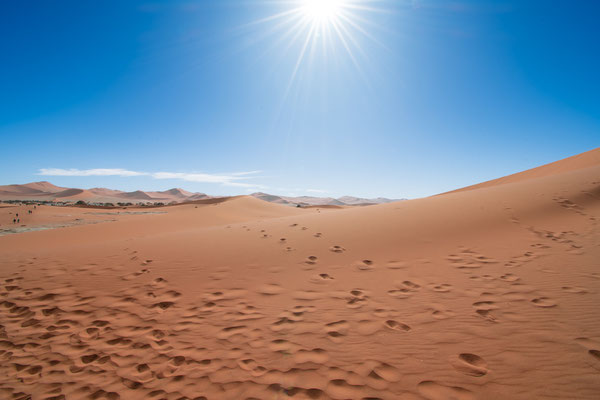 Deadvlei Dessert in Namibia