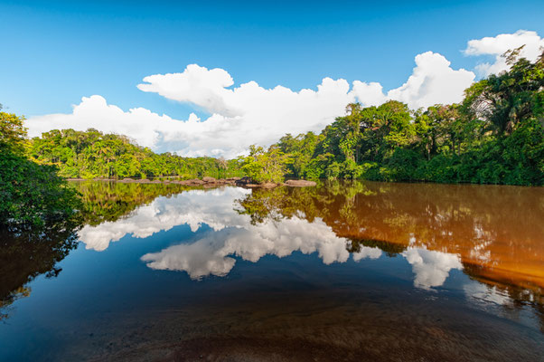 Sunny weather mirrors in the Suriname river