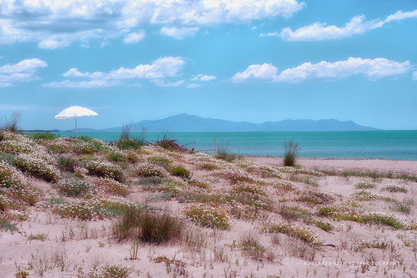 Italy Tuscany Grosseto Landscape Beach