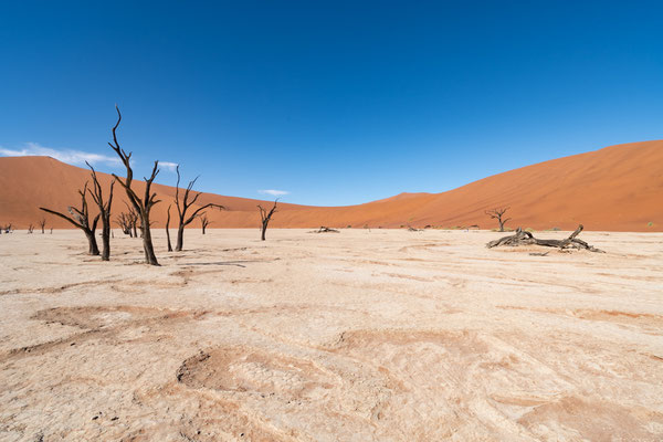 Namibia Namibië Afrika, Africa, Deadvlei