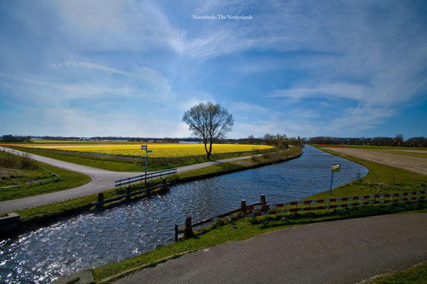 Hillegom Bollenstreek