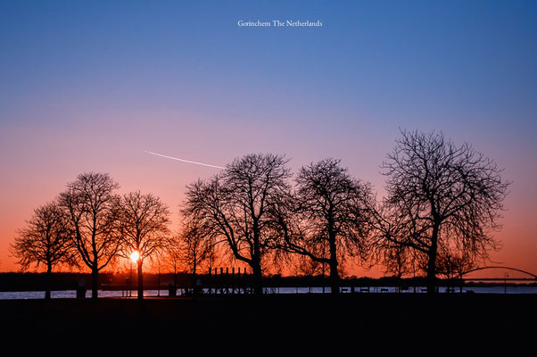 Trees at the Waterfront in Gorinchem, the Netherlands