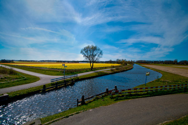Landscape of Noordwijk - the Netherlands
