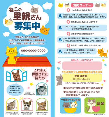 猫の里親募集のパンフレット＿中面
