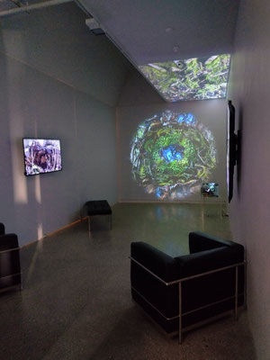 CUSP exhibition gallery space
