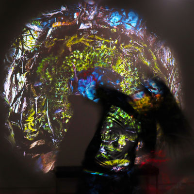 Merri in the CUSP projection