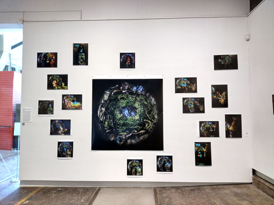 'With Love, from the CUSP evolution revolution' (2026) an evolving artwork from the Rainbow Stable 'Celebrating Identity' exhibition @ QVMAG to include photos from the CUSP: PhotoBooth Tour from 16 August - 13 September 2026