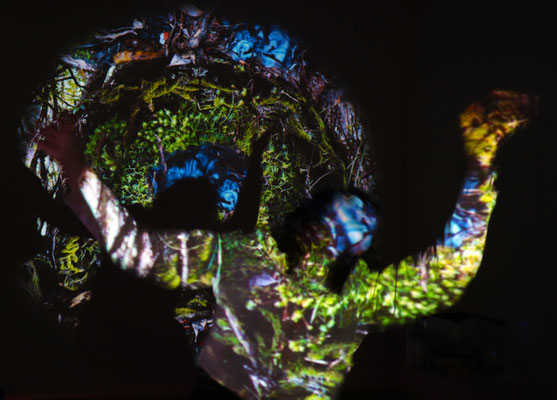 Sara in the CUSP projection