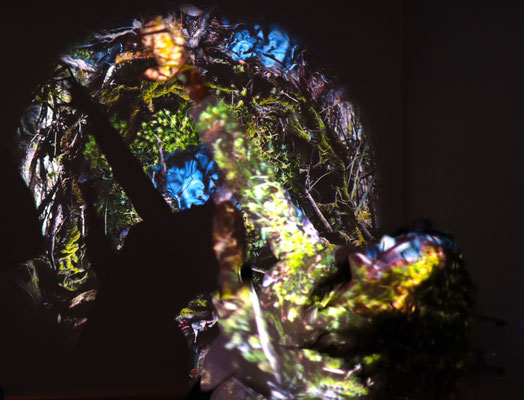 Sara in the CUSP projection 