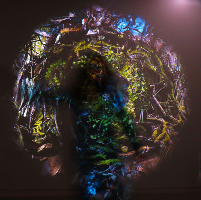 Mandy in the CUSP projection