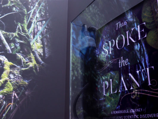 CUSP exhibition with the book 'Thus Spoke the Plant' by Monica Gagliano (2018)